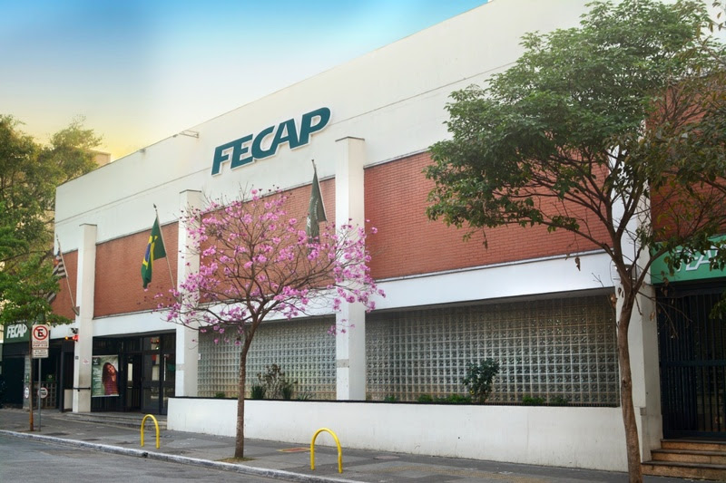 Capacitação para pessoas com deficiência visual: FECAP e Instituto LHON lançam 10 cursos gratuitos