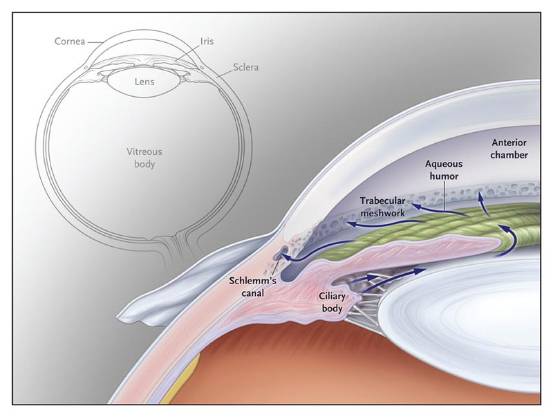 Exercícios aeróbicos de alta intensidade reduzem a pressão intraocular, aponta estudo