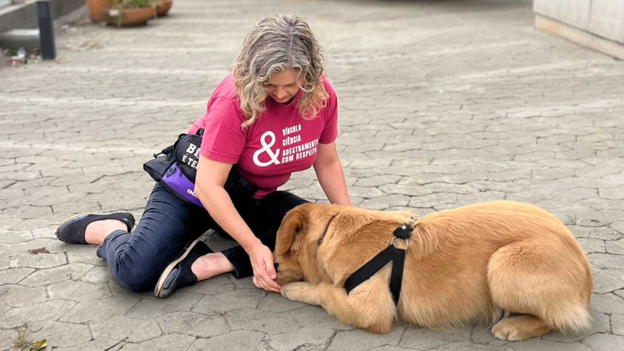 Brasileira faz crowdfunding para pagar curso internacional sobre cães de assistência