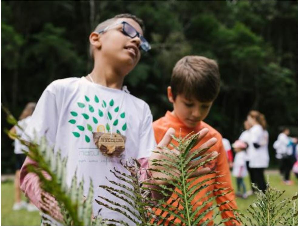 A natureza com todos os sentidos