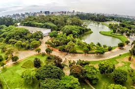 Final de semana tem corrida da inclusão no Parque do Ibirapuera, em SP