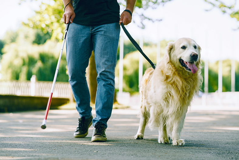 Pessoas acompanhadas de cães de assistência tem acesso assegurado nos prédios do TJ capixaba