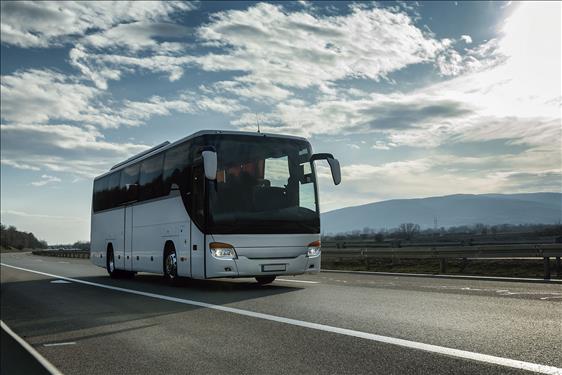 Empresa indenizará pessoa com deficiência que foi 'carregada' acessar ônibus intermunicipal