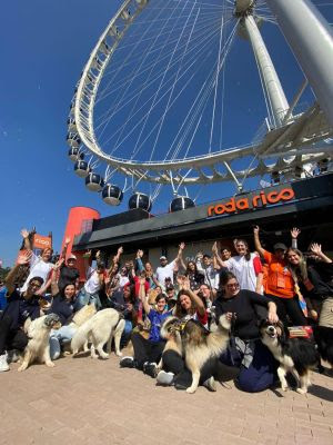 Roda Rico se une ao Instituto Reddogs para treinamento de cães de assistência