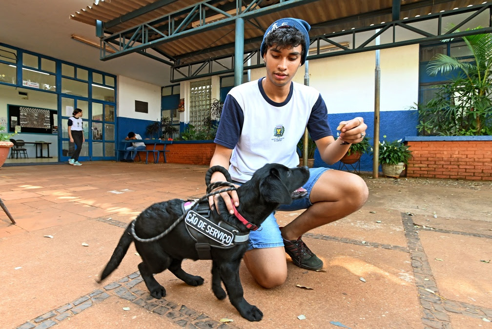 Aluno com epilepsia conta com apoio de cão de serviço no interior de São Paulo