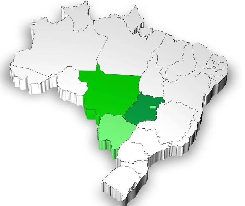 Centro-oeste brasileiro tem quase 70 mil eleitores com deficiência em 2024