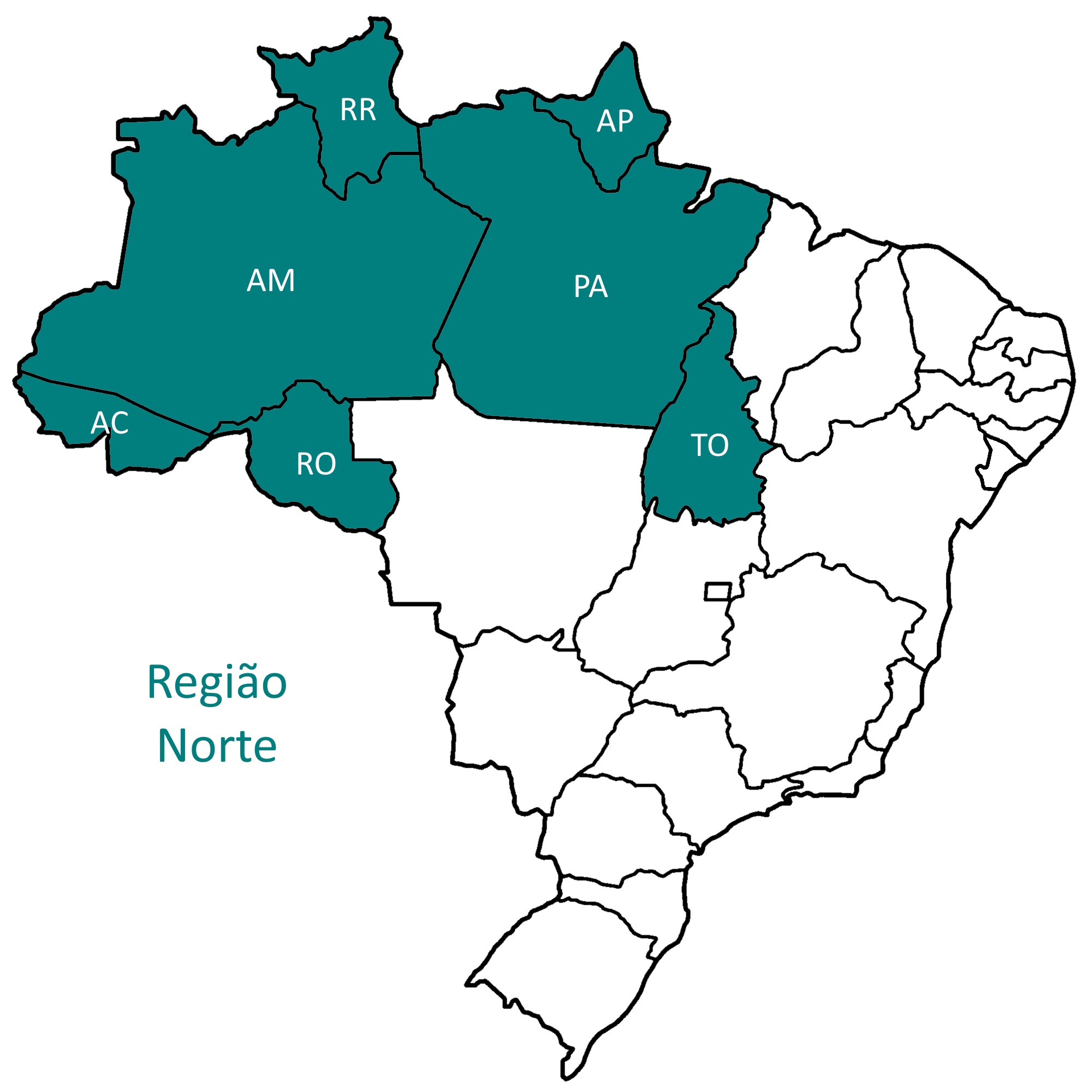 Norte do Brasil terá mais de 132 mil eleitores com deficiência aptos para as eleições de 2024