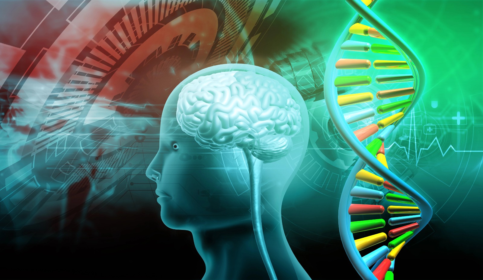 Painel permite investigar mutações e diagnosticar 19 doenças neurológicas antes do nascimento