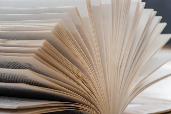 Livro promove debate sobre inclusão legislativa de Pessoa com Deficiência em grau médio