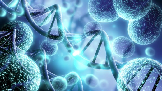 Após pressão, governo de Sergipe garante consultas com geneticistas para pacientes com doenças raras