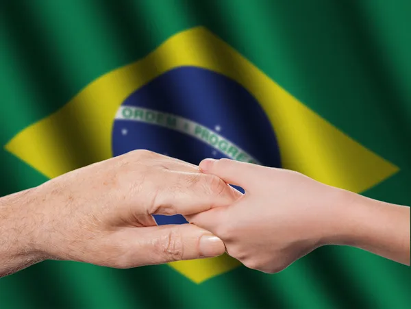 Apenas 51% dos estados brasileiros possuem Conselhos Estaduais, e em São Paulo, apenas 38% dos municípios têm esses órgãos