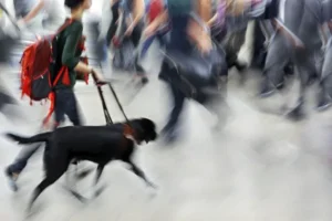 Parceria FESA Group e Egalite impulsiona inclusão de pessoas com deficiência no mercado de trabalho