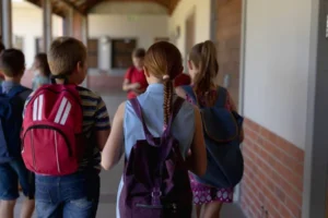 A educação inclusiva e o papel das instituições especializadas na promoção da igualdade no Brasil contemporâneo - OPINIÃO - * Por Jairo Varella Bianeck