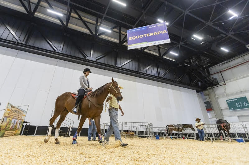 Terapias com animais ganham protagonismo na Reatech + Expo Brasil Paralímpico 2025