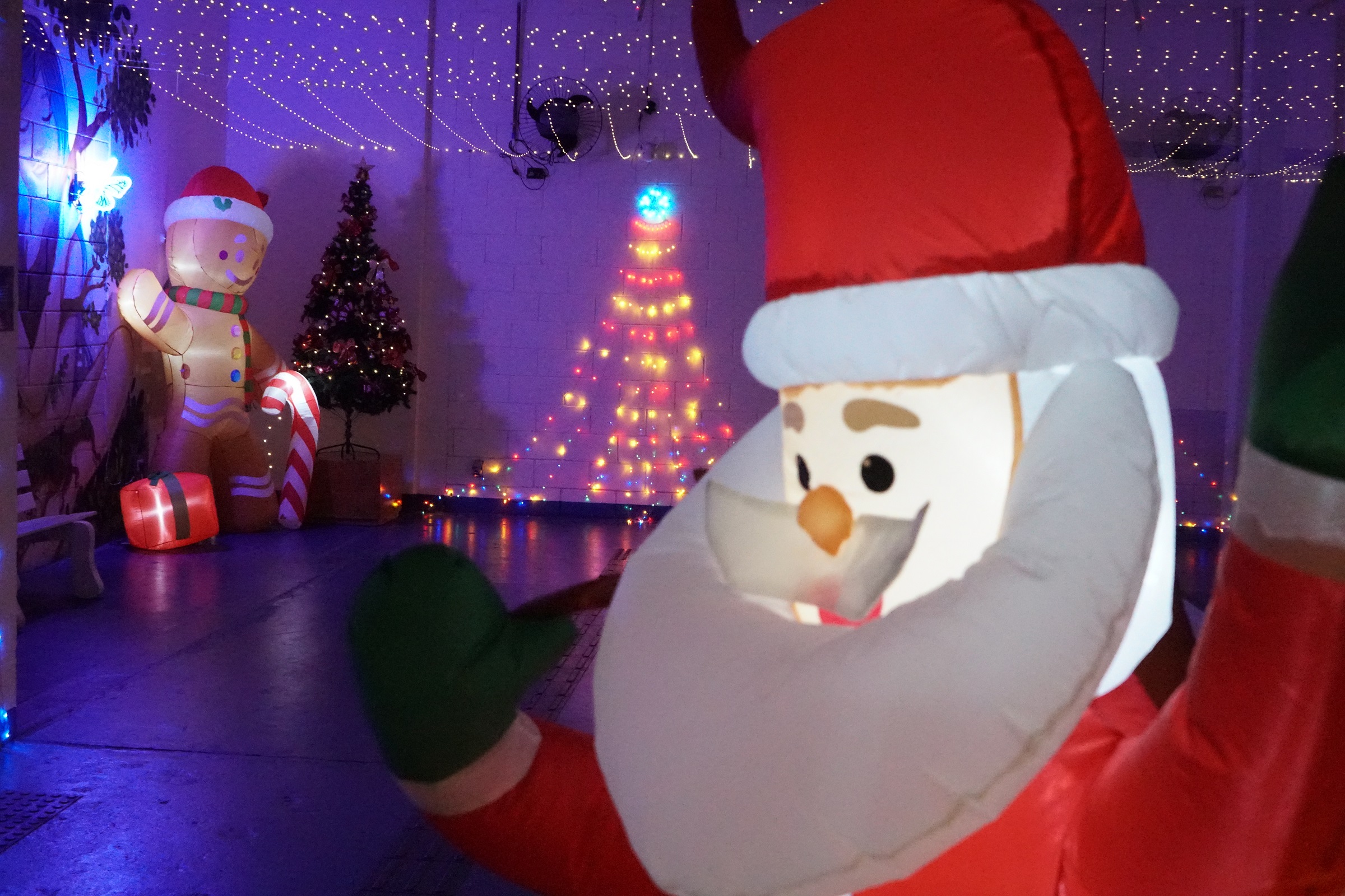 Natal em Curitiba terá apresentação inclusiva para público TEA nesta sexta!