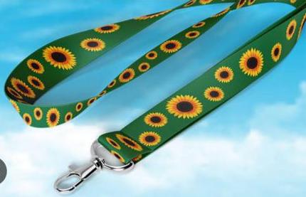 Veto Federal para a distribuição de cordões com desenhos de girassóis reflete decisões sobre "o custo da exclusão"