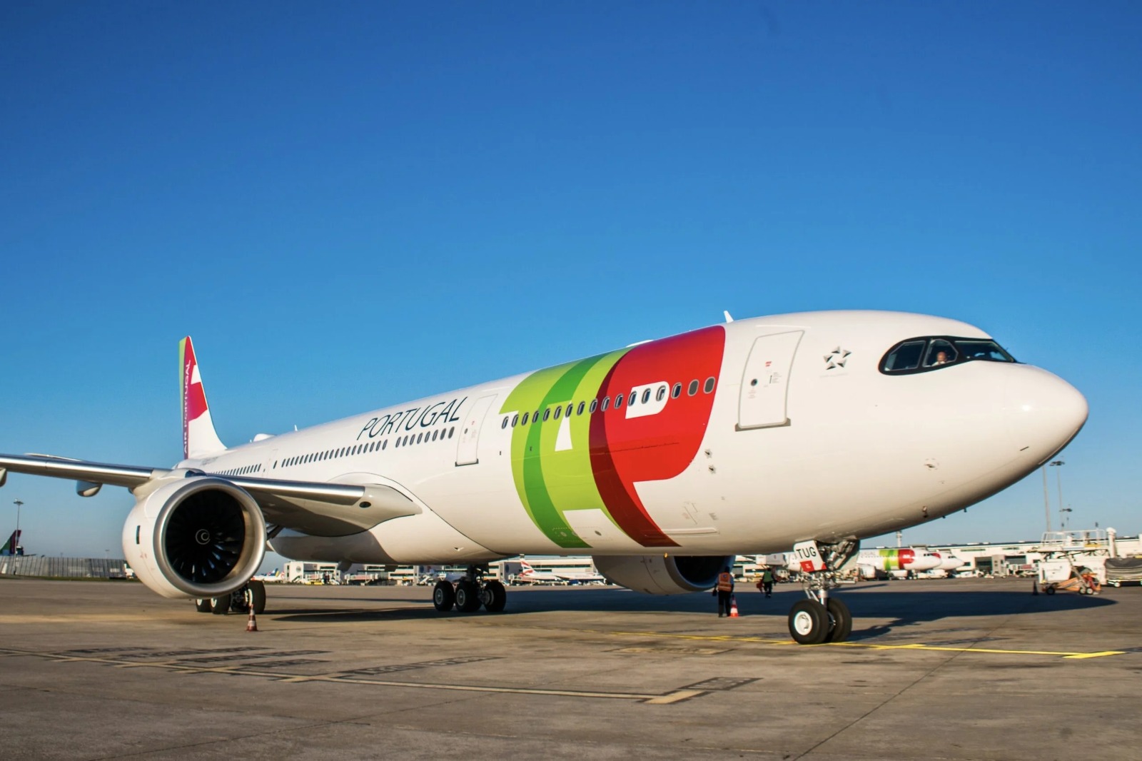 Judiciário condena TAP por impedir cão de assistência de menor autista em voo