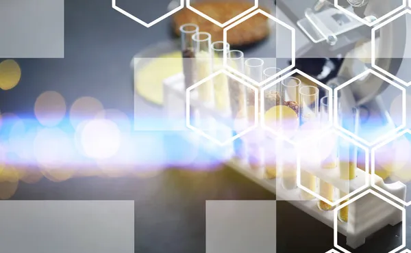 Governo do Espírito Santo institui Grupo Técnico para avaliar efeitos do tratamento com uso da polilaminina