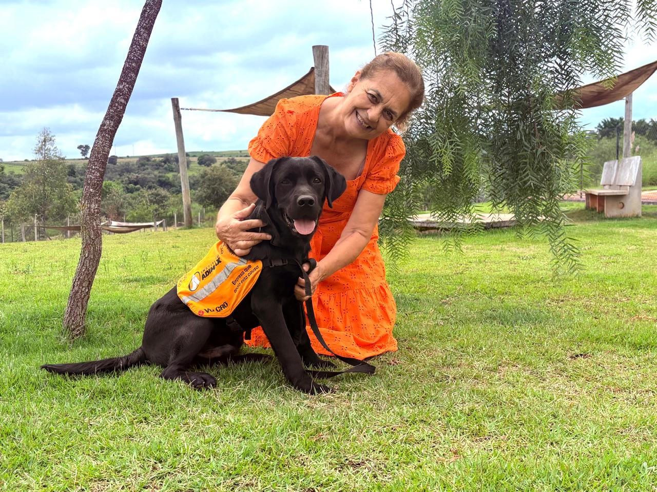 Instituto Adimax precisa de voluntários para socializar cães de assistência