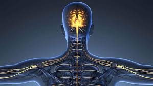 Brasileiros participam de pesquisa inédita que revela como reverter danos em neurônios da ELA – Esclerose Lateral Amiotrófica