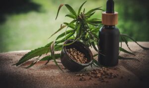 Mitos sobre cannabis medicinal persistem no Brasil mesmo com avanço de pacientes e prescrições