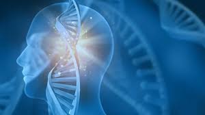 Com prevalência de ELA acima da média global, Brasil debate acesso a tratamento no SUS após quase 30 anos sem atualizações terapêuticas