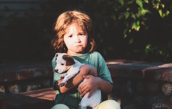 Estreia do Brasil na Copa e um alerta: o impacto de fogos de artifícios em pessoas autistas e com deficiência, idosos e para os animais