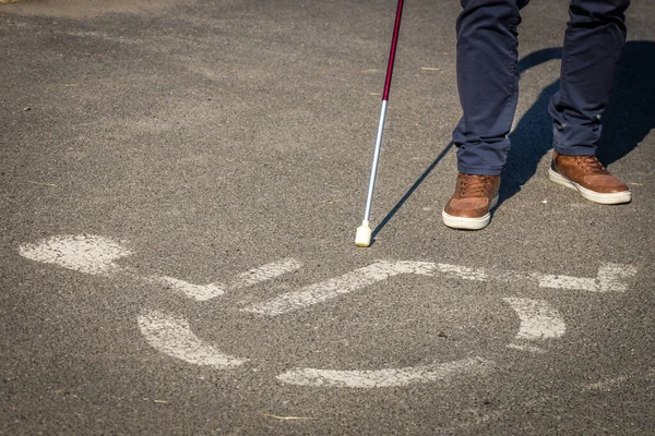 Do levítico à inclusão: ética, dignidade e o tratamento da pessoa com deficiência - OPINÃO - * Por Leomar Antonio das Neves