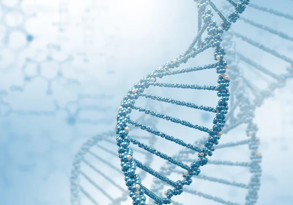 Testes genéticos modernos desvendam causas de baixa estatura em crianças, revela estudo da FMUSP