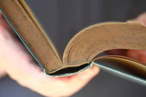 A Primeira Pessoa com Deficiência da História? Uma Reflexão Curiosa Sobre Inclusão. OPINIÃO - * Por Geraldo Nogueira