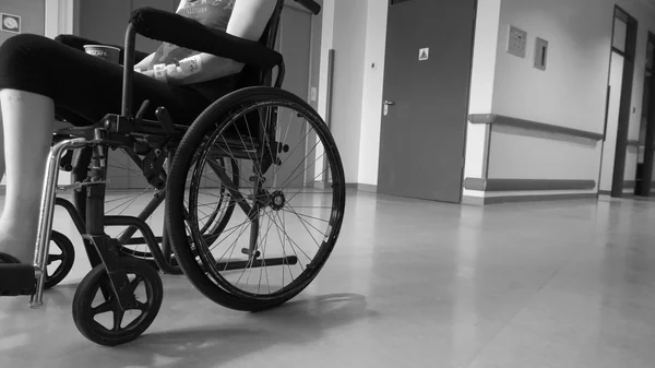Lei Maria da Penha completa 20 anos e reforça alerta sobre a violência contra mulheres com deficiência