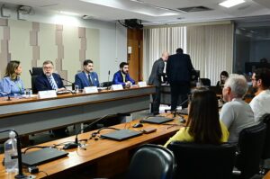 No Senado, segmento aponta que Acessibilidade nas eleições precisa melhorar