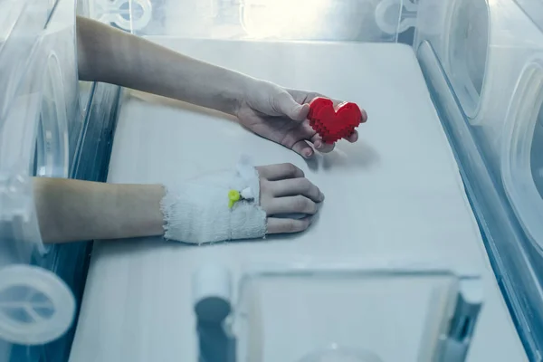 Do “sim” ao transplante: a corrida contra o tempo para levar órgãos a quem espera